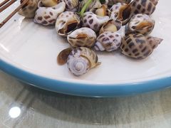 -联邦酒楼