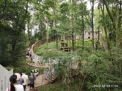 -中国大熊猫保护研究中心雅安碧峰峡基地