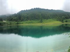 -武陵山森林公园