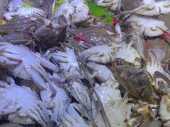 -聚盛源蒸汽海鲜火锅烤肉自助(巨川金海岸购物广场店)