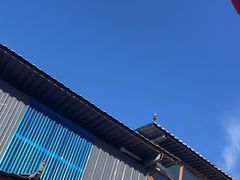 -象山村腊排骨(丽江总店)