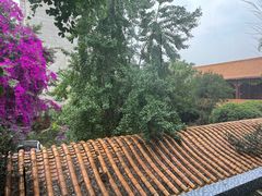 -阮老二·羊肉汤(黄甲店)