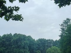 -上海共青森林公园