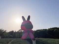 -同里国家湿地公园