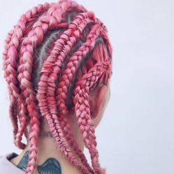 -SALON V