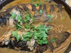 -草根堂农场