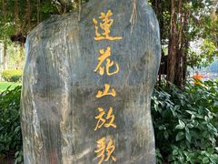 -莲花山公园