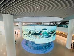 -上海城市规划展示馆