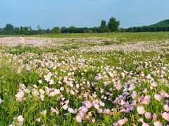 -汉长安城未央宫国家考古遗址公园