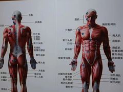 -通透堂中医·精准推拿(旗舰店)