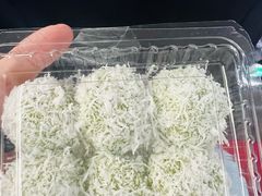 -金珠肉粽