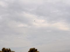 -大湾区中央湿地公园