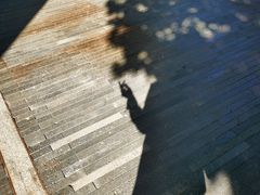 -恋物百货商店(华侨城店)