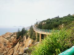 -广东惠东海龟国家级自然保护区