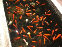 -黄家码头老火锅(解放碑旗舰店)