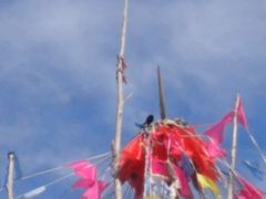 -百草敖包