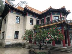 -黄山温泉国际旅游度假区
