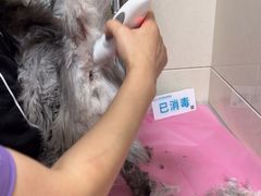 -北京观赏动物医院·24小时大型综合·猫专科·异宠专科