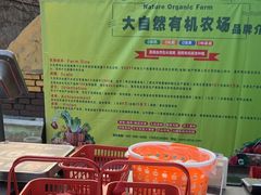 -大自然农场蔬菜草莓采摘园