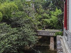-老张烤羊(王哥庄店)