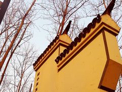 -合肥滨湖国家森林公园