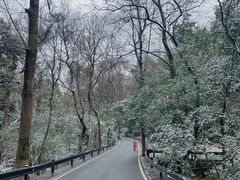 -岳麓山风景名胜区