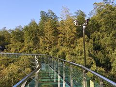 -陶祖圣境风景区