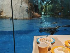 -帝企鹅自助餐厅•儿童岛•真企鹅(长隆企鹅酒店)