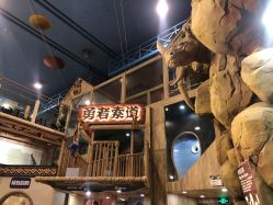 -卡通尼·Safari非洲探索乐园·生日会(金桥国际商业广场店)