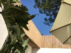 -云里小坐·小院里·团建·宴请·下午茶(三圣乡店)