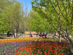 -长春公园(普阳街道)