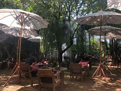 景观位-Fern Forest Cafe