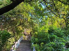 -树山生态村