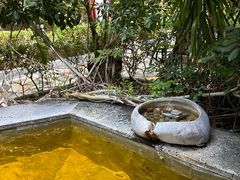 -韶关经律论国际酒店温泉