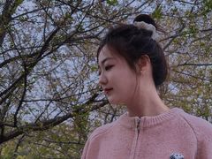 -武汉大学校门牌坊