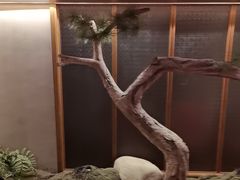 -翠姐姐农家大院(滨康路店)