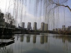 -青枫公园