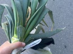 -桃源市场(解放路店)