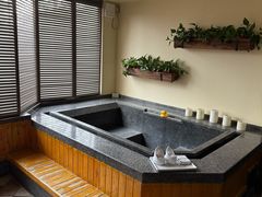 -春晖园度假酒店温泉