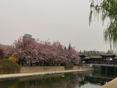 -元大都城垣遗址公园