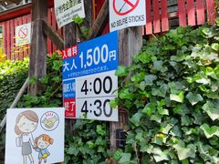 -宫城藏王狐狸村