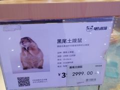 -龟与熊猫宠物公园(南坪店)