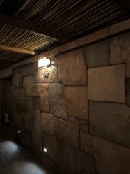 -翱翔飞越地平线