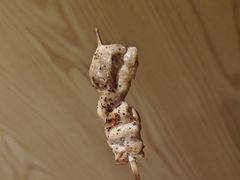 -王氏炉匠·烧鸟放题自助(三里屯店)