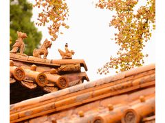 -故宫博物院(故宫)