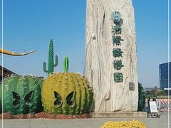 -南通洲际绿博园