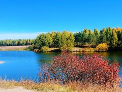 -塞罕坝国家级自然保护区