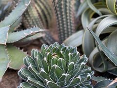 -国家植物园南园