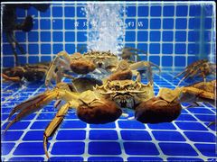-壹只菜·崇明本地特色菜(崇明南门店)
