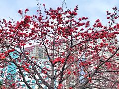 -佛山印象城(季华五路店)
